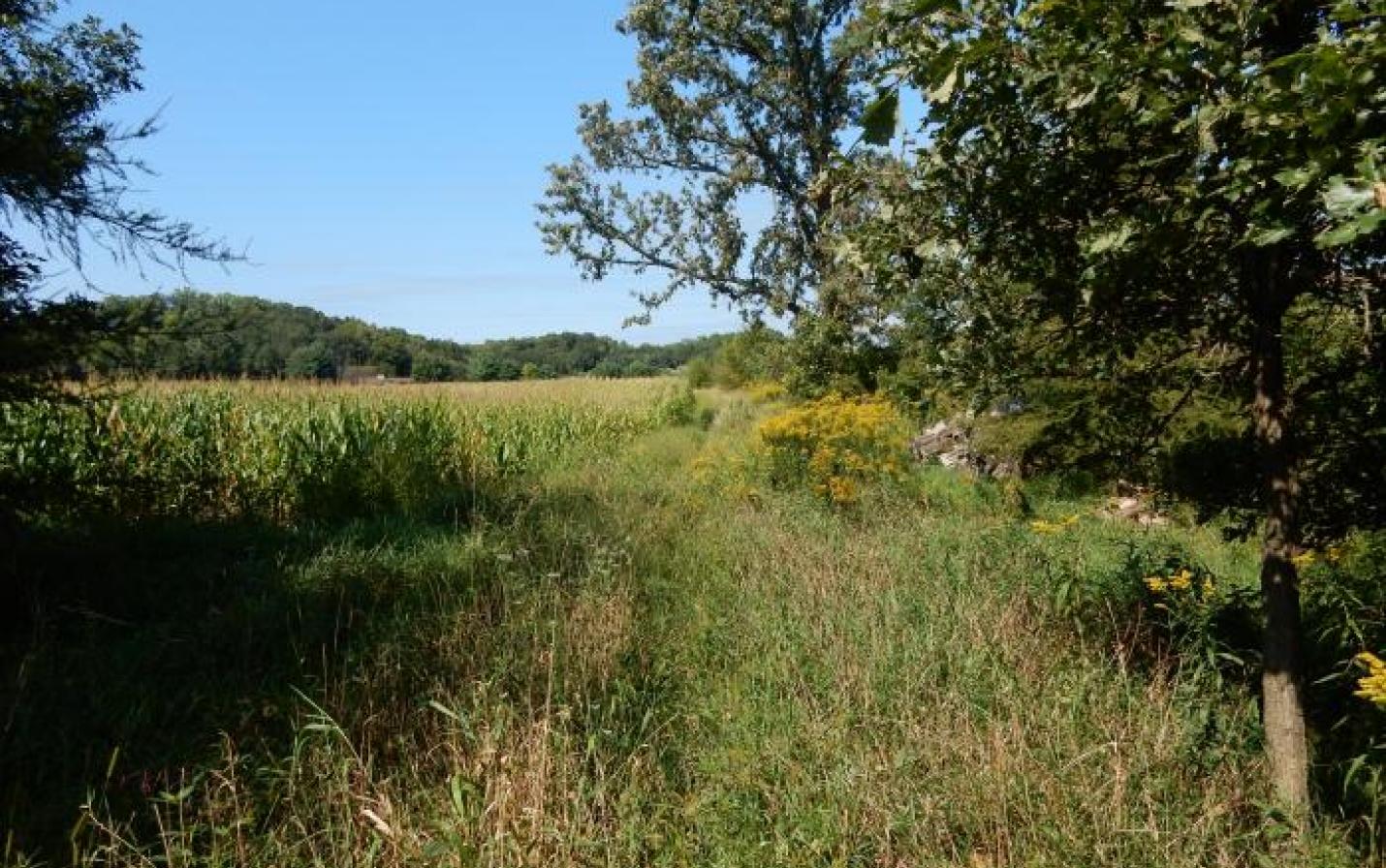 Conservation agreement in La Crosse County protects land and water on